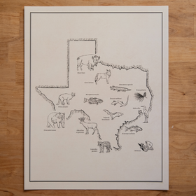 11x14" Texas Wildlife Map